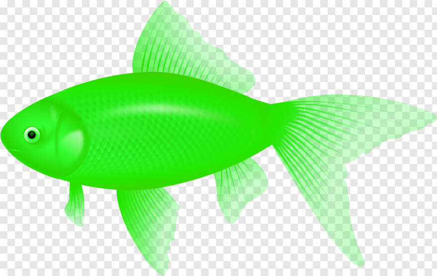 fish-logo # 832227