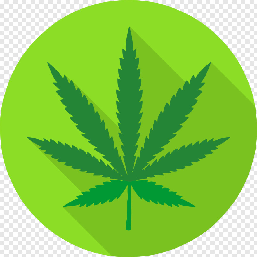 marijuana-leaf # 567411