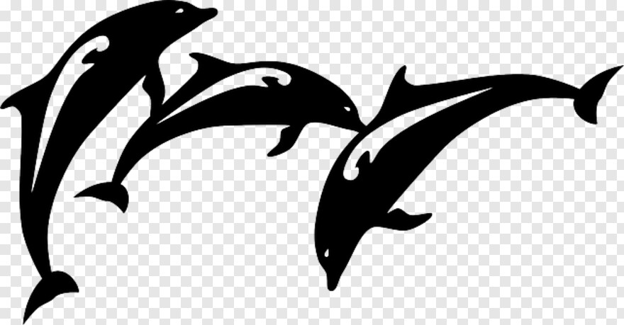  Ocean Fish, Wall, Hole In Wall, Dolphin, Koi Fish, Fish Silhouette