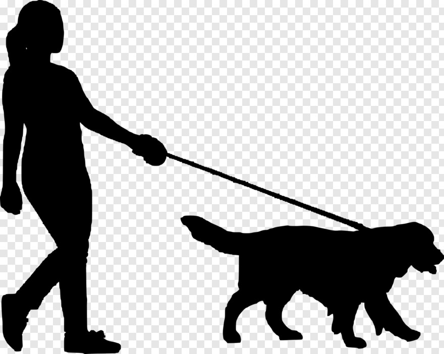 people-walking-dog # 895042