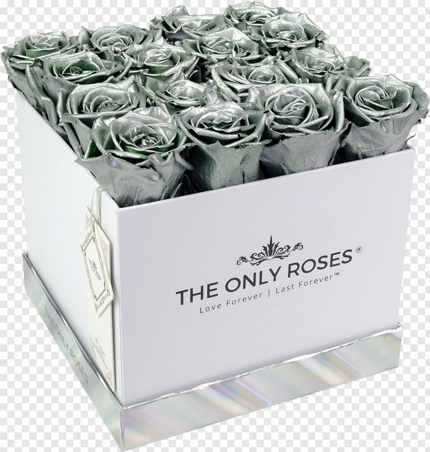  Silver Border, Bouquet Of Roses, Silver Frame, Silver Ribbon, Silver Line, Silver