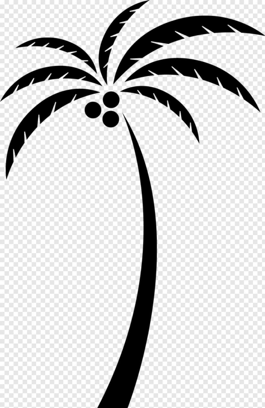beach-coconut-tree # 460684