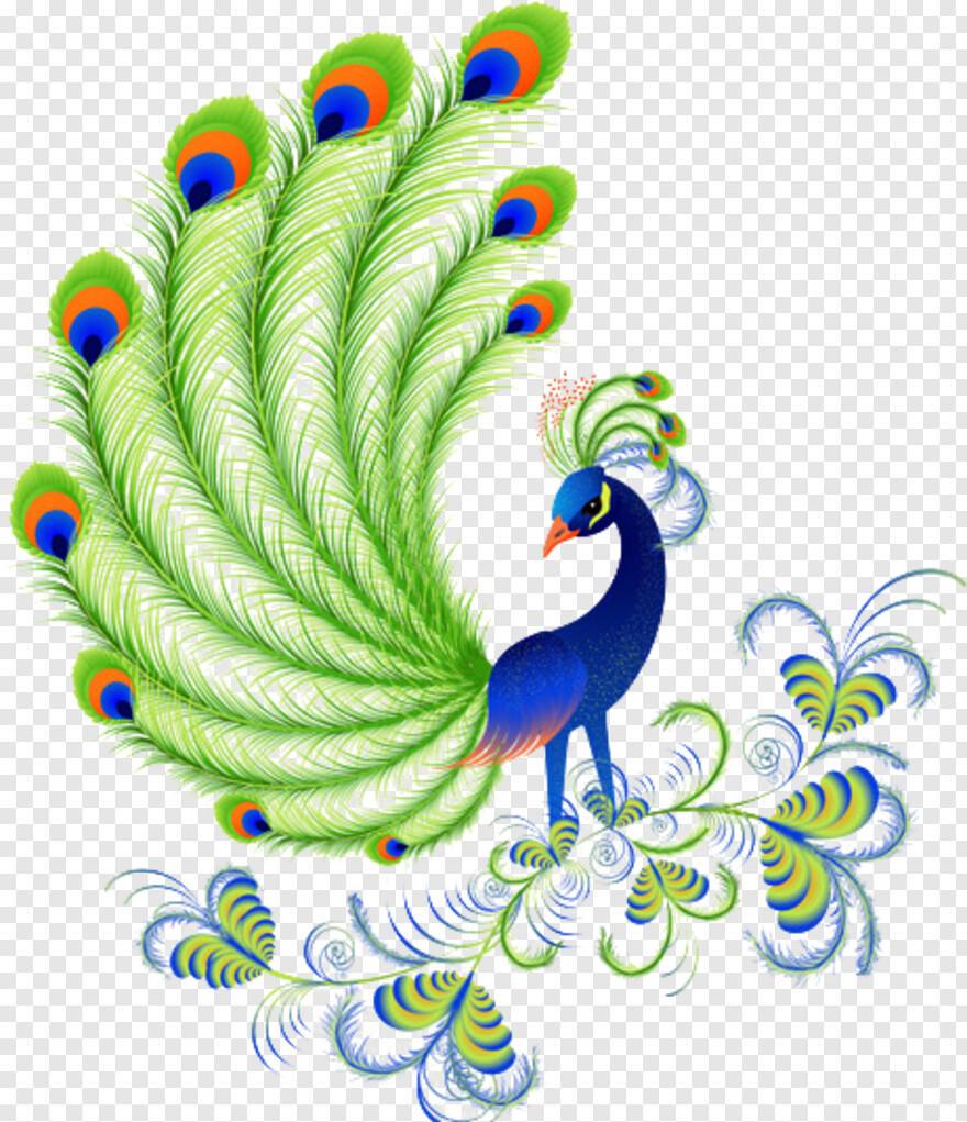 peacock-clipart # 383880