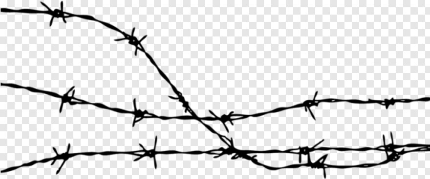  Barbed Wire Fence, Barbed Wire, Wire, Victorian Frame, Chicken Wire, Barbed Wire Border