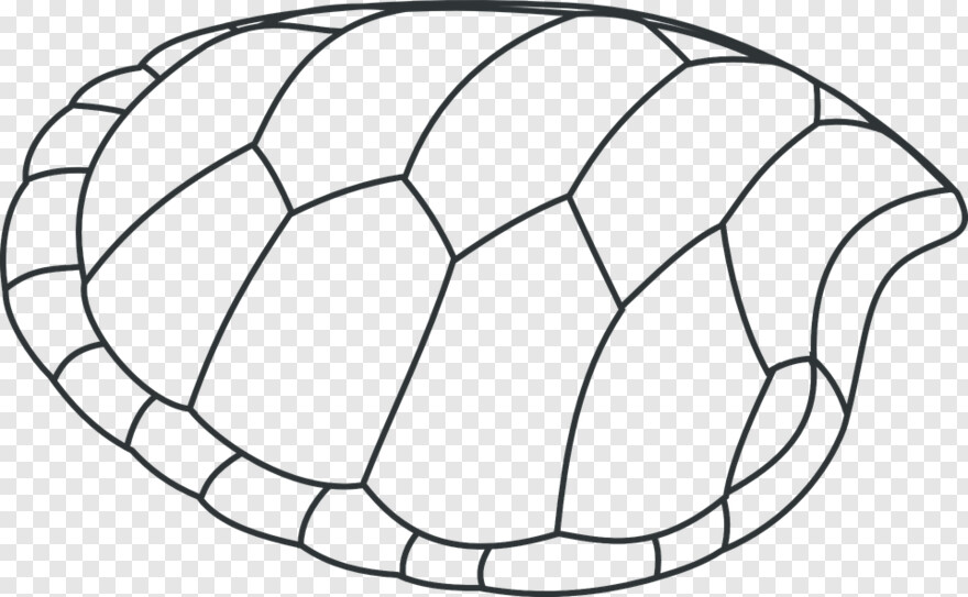  Turtle Shell, Turtle, Clam Shell, Shell, Sea Shell, Turtle Clipart