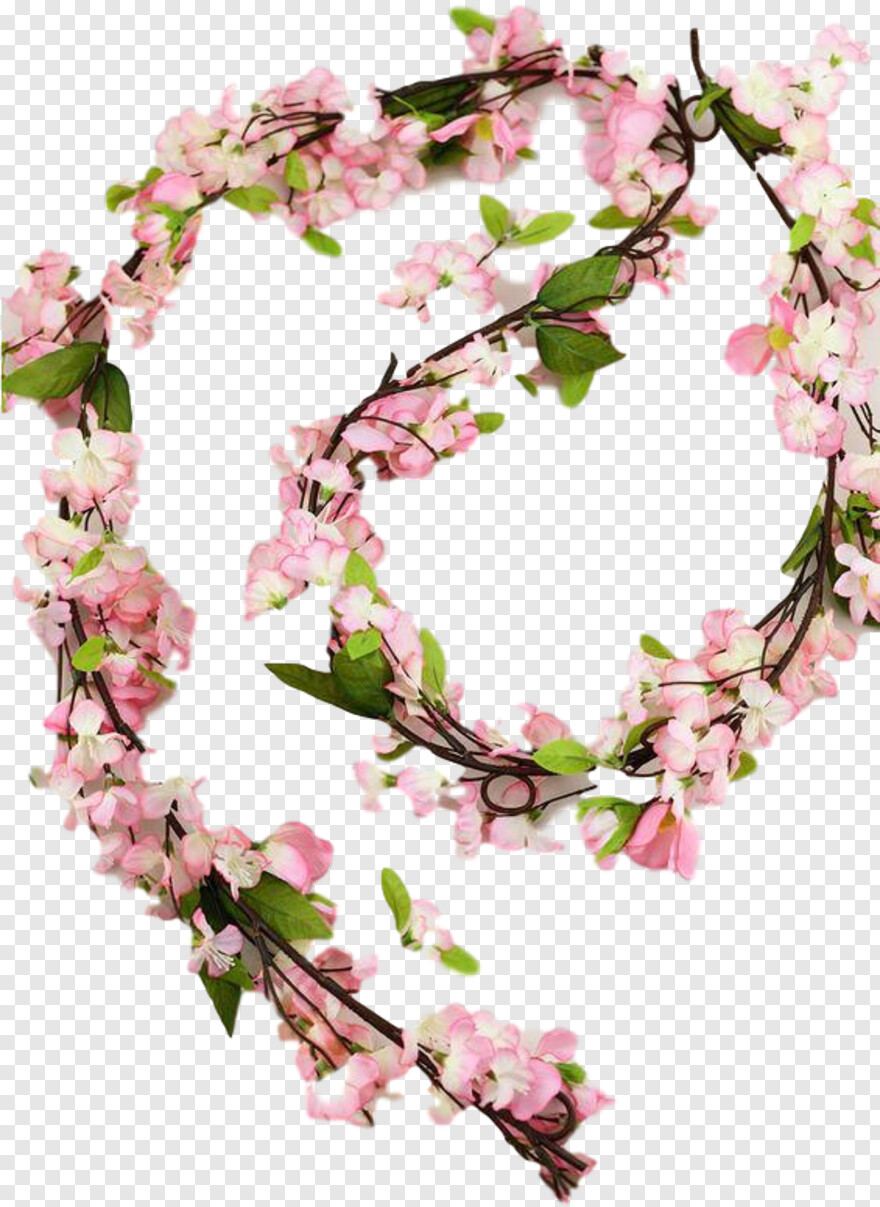 cherry-blossom-branch # 468577