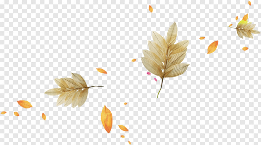 autumn-leaf # 441677