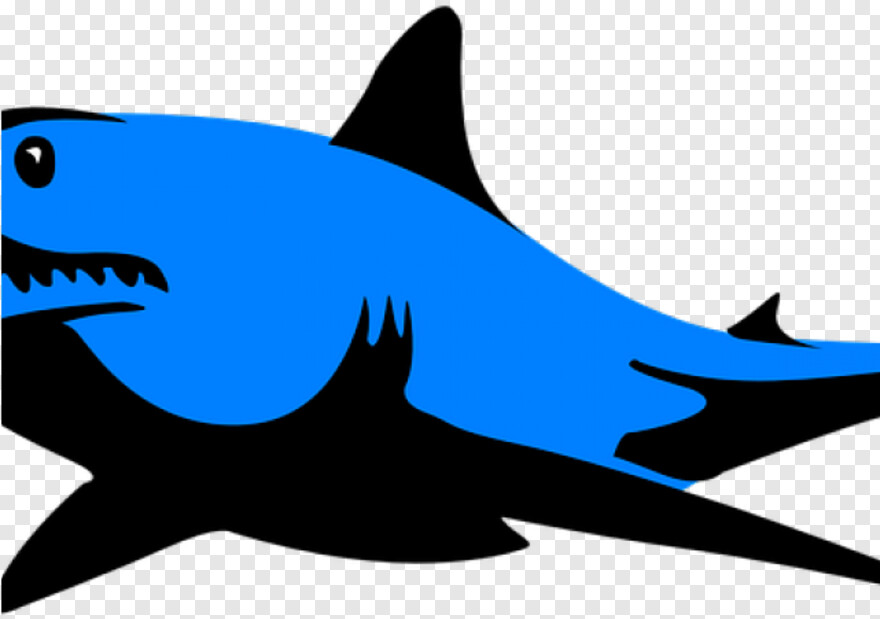 whale-shark # 354616