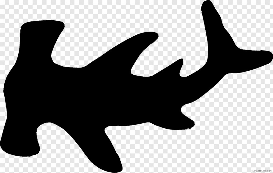 great-white-shark # 476356