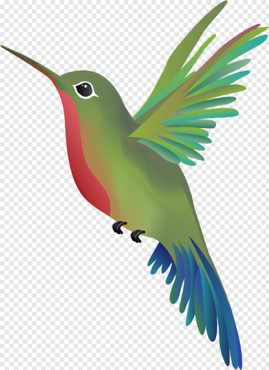 hummingbird # 1038836