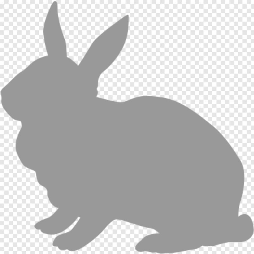 peter-rabbit # 639934