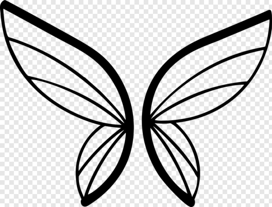 butterfly-wings # 583755