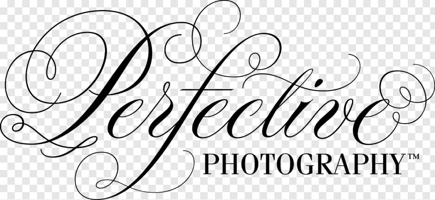 photography-logo-vector # 1081303