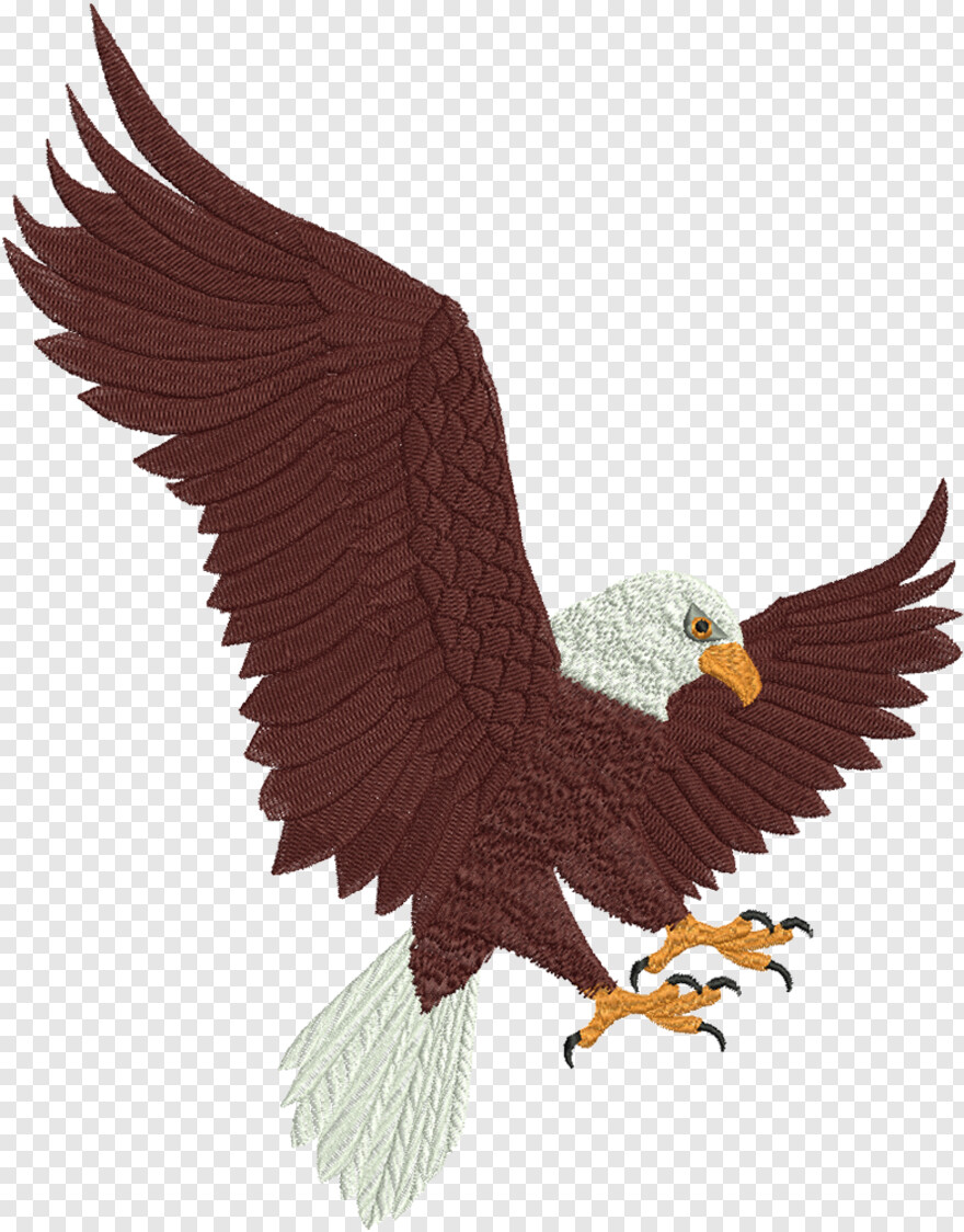  Bald Eagle, American Eagle, Eagle Globe And Anchor, Eagle Silhouette, Bald Eagle Head, Bald Head