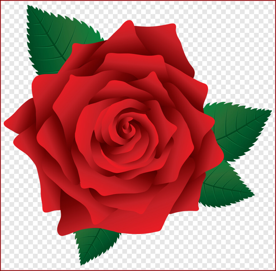  Rose Flower, Pink Rose Flower, Single Rose Flower, Rose Flower Vector, Rose Tattoo, Rose Border
