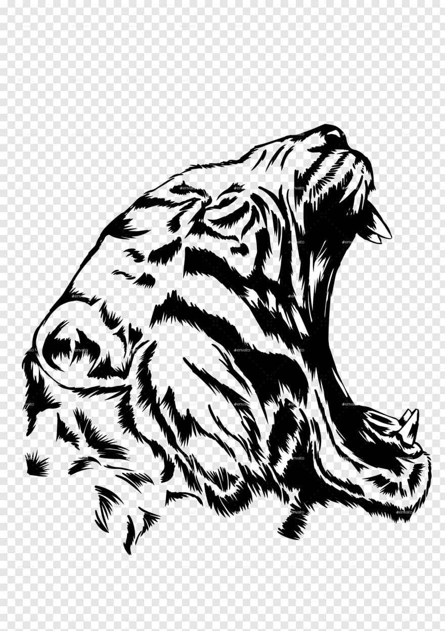 tiger-paw # 354446