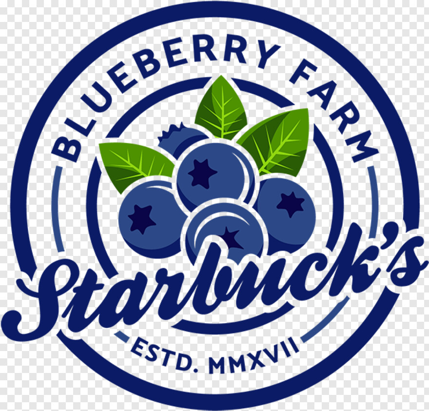 blueberry # 343616