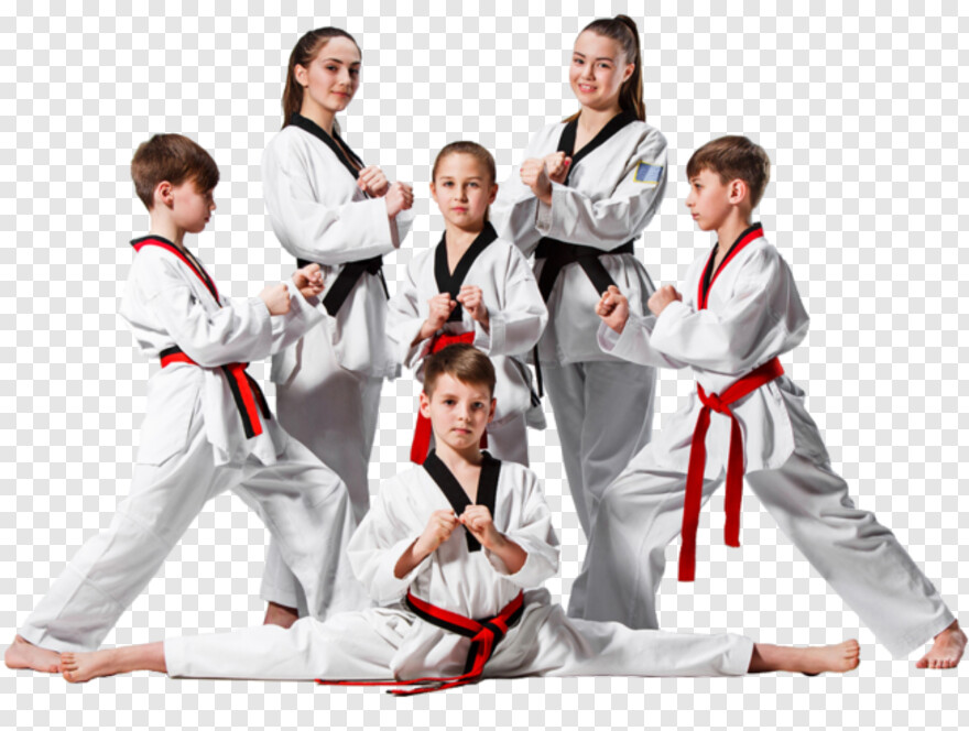 karate # 733544