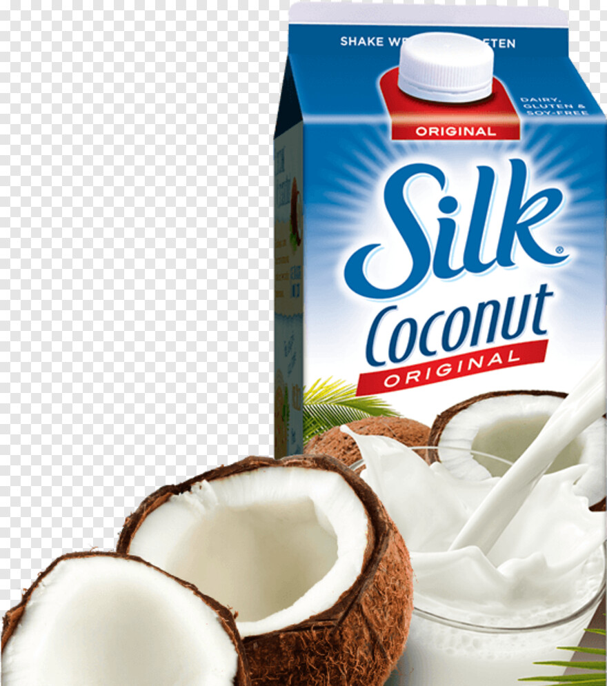 coconut # 368328