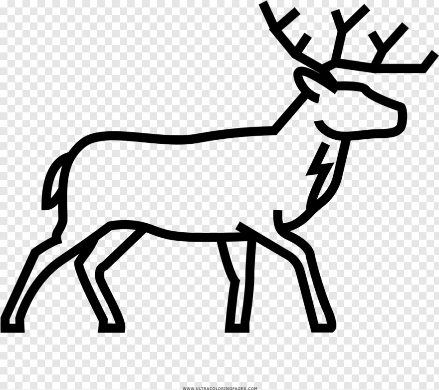  Whitetail Deer, Page Curl, Page Break, Page Border, Deer Head, Deer Silhouette