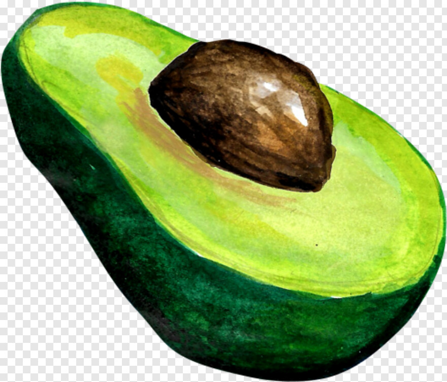 avocado # 440204