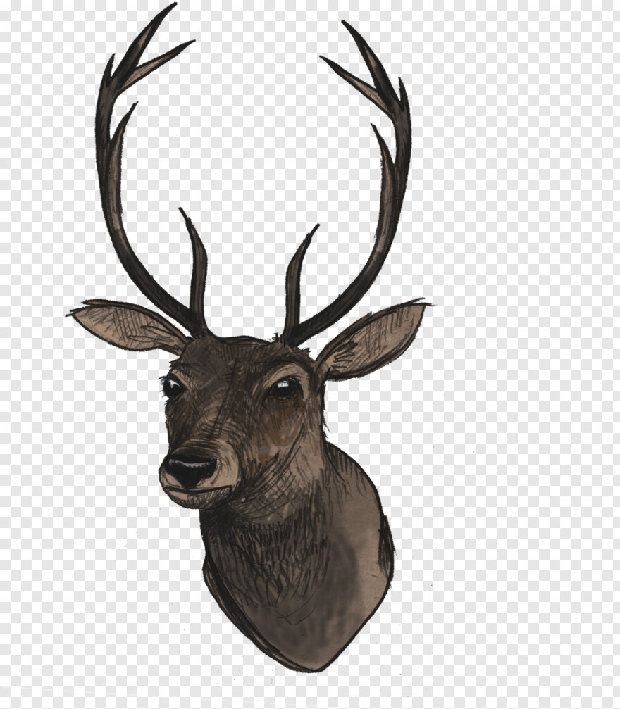 deer-head-silhouette # 918965