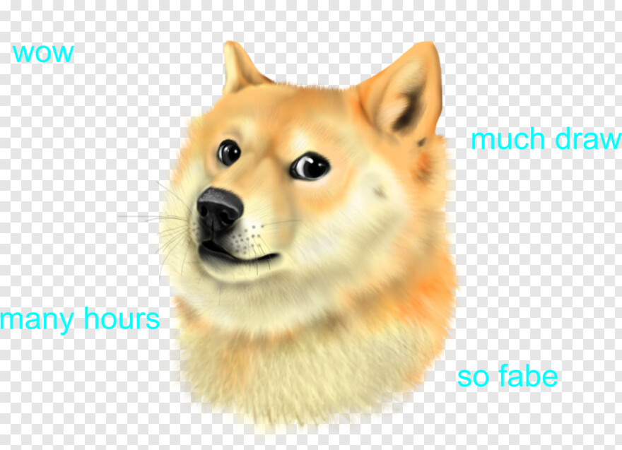Doge Free Icon Library - doge mlg roblox