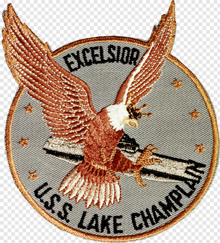  Bald Eagle Head, Bald Eagle, Eagle Globe And Anchor, American Eagle, Lake, Eagle Silhouette