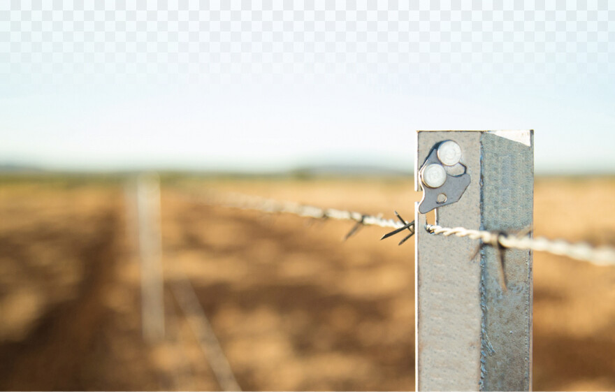 barbed-wire-border # 404249