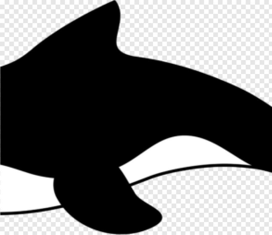 orca # 490631