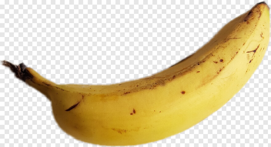 banana-leaf # 413090