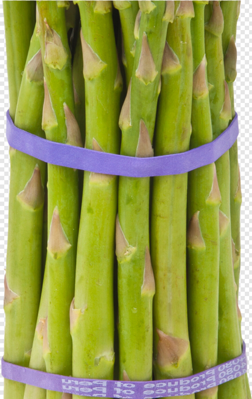 asparagus # 468443
