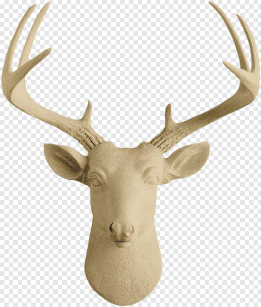 deer-antler # 505455