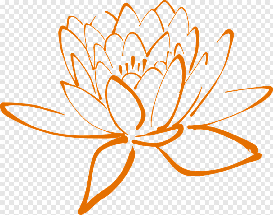 lotus-flower # 383764