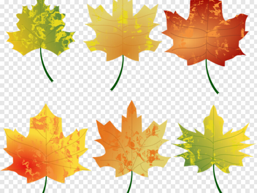 fall-leaves # 847022
