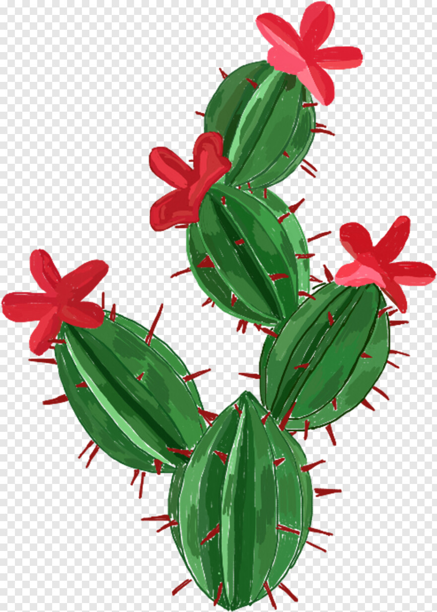 cactus # 1088691