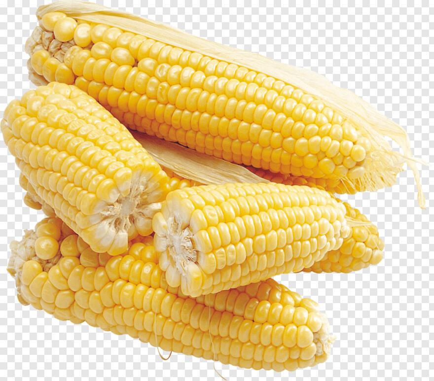 candy-corn # 956375