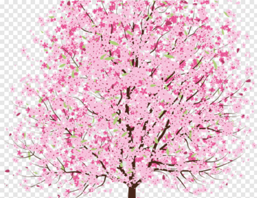  Cherry Blossom Tree, Spring Flowers, Spring Clipart, Metal Spring, Spring Background, Spring