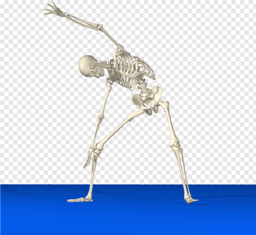  Skeleton Arm, Skeleton Head, Skeleton Hand, Skeleton Key, Skeleton