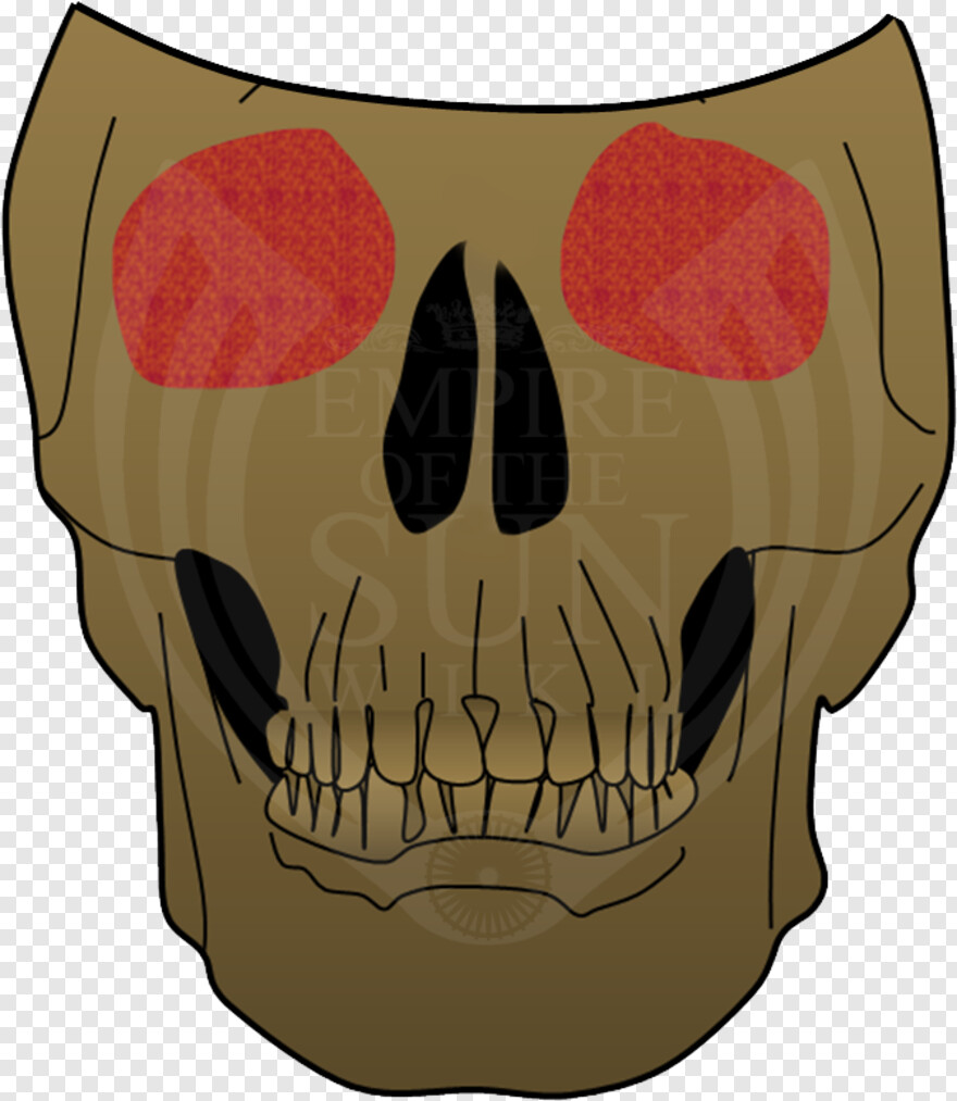  Skull Tattoo, Black Skull, Pirate Skull, Skull And Crossbones, Bull Skull, Skull Drawing
