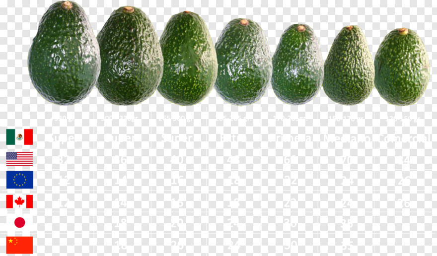 avocado # 440117