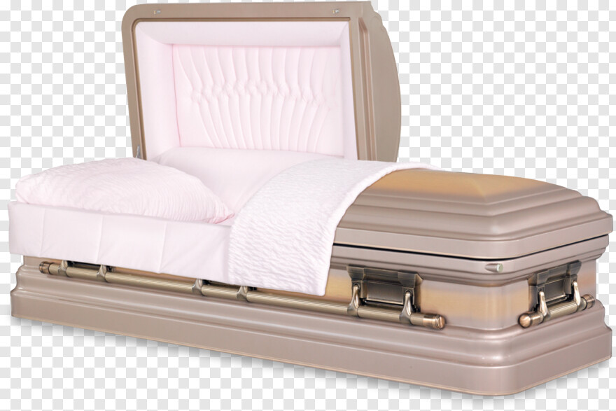 coffin # 987679
