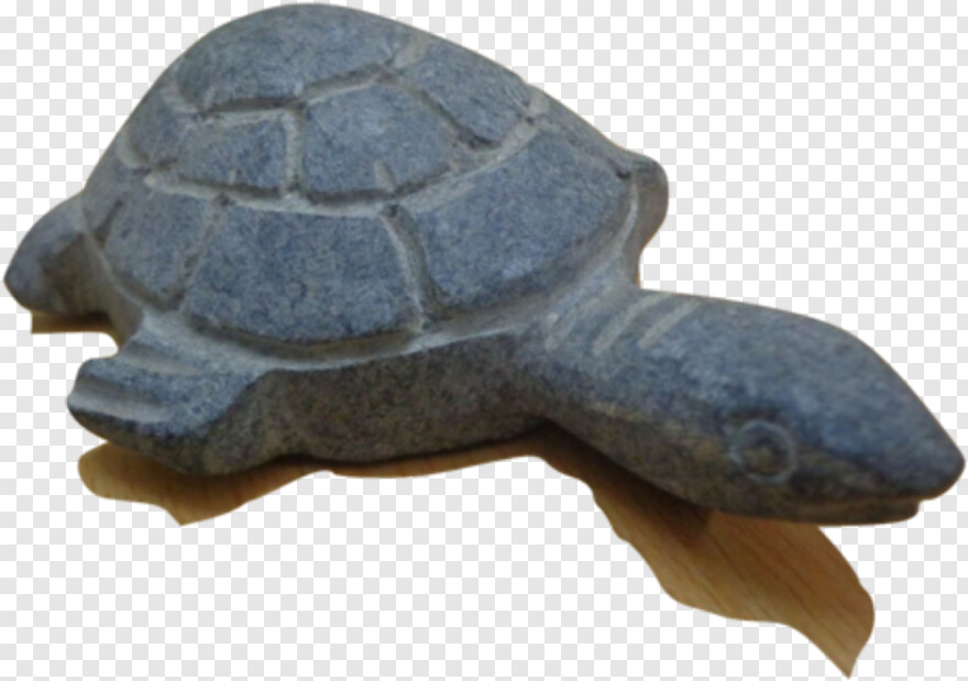 Sea Turtle, Turtle Silhouette, Turtle, Turtle Shell, Arrow Clip Art, Turtle Clipart