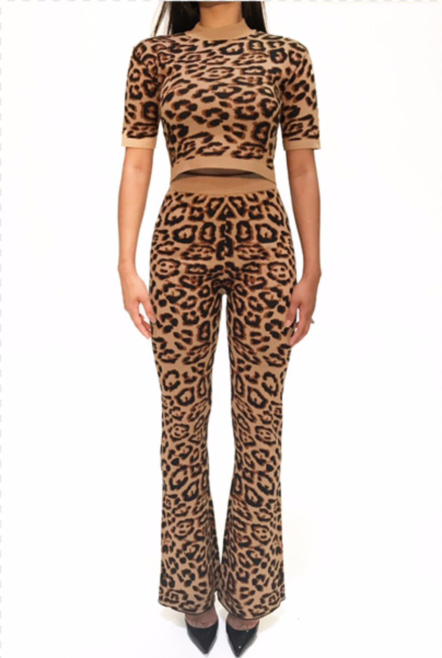 cheetah # 1029536