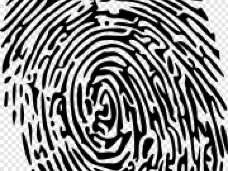 fingerprint # 904900
