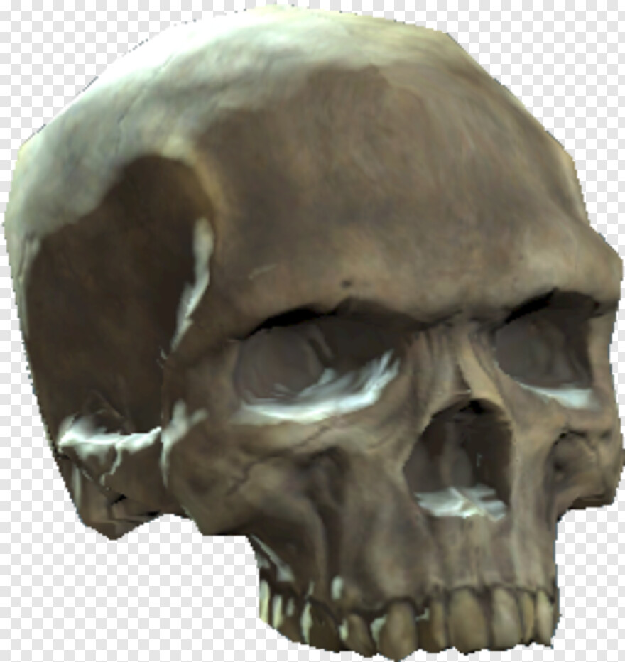 pirate-skull # 619275