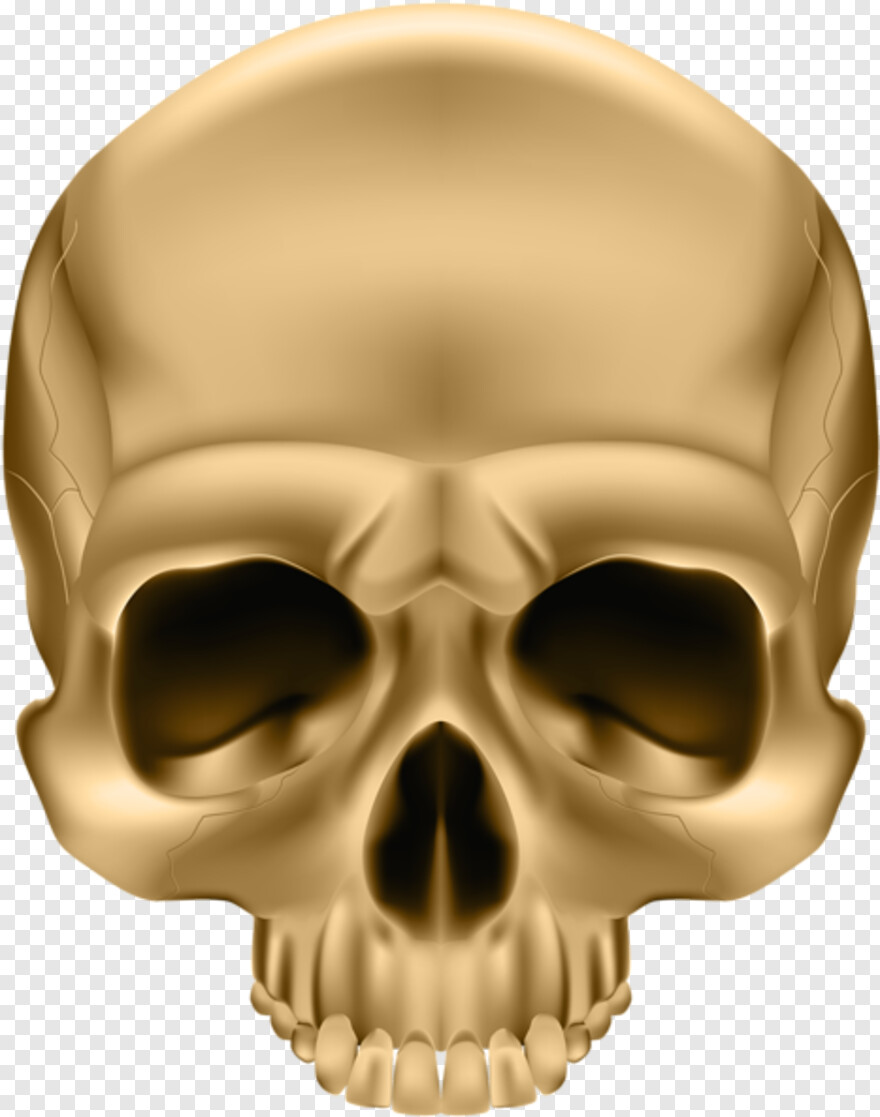 black-skull # 790659