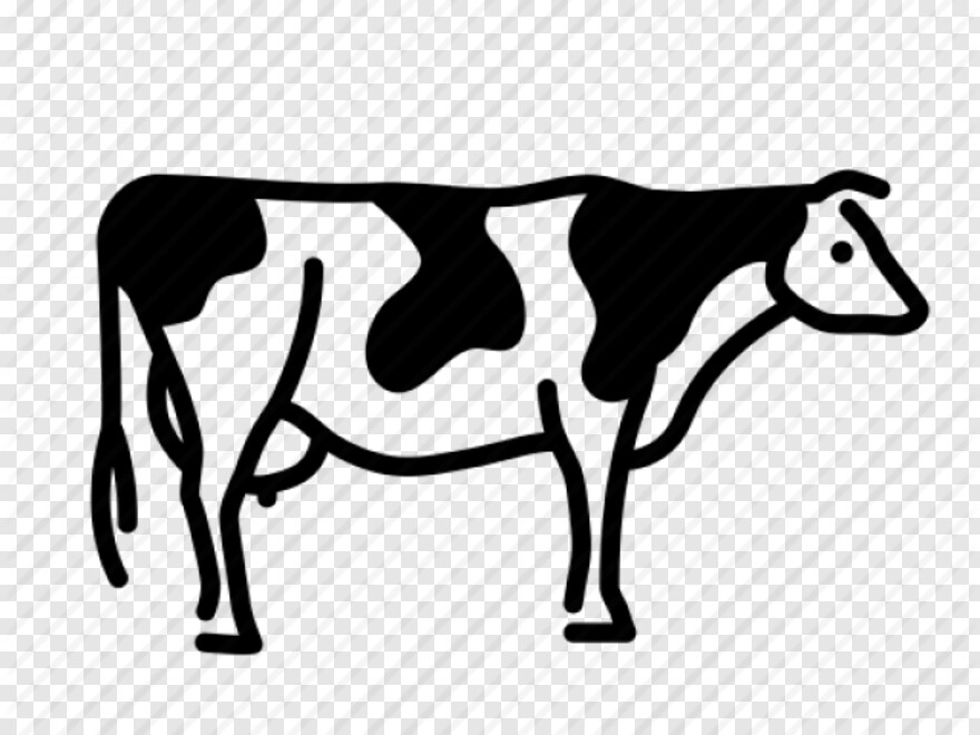 cow-icon # 462954