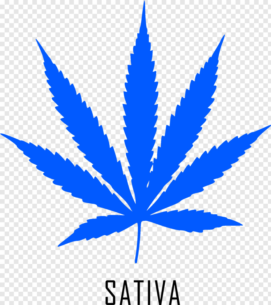 marijuana-leaf # 701150