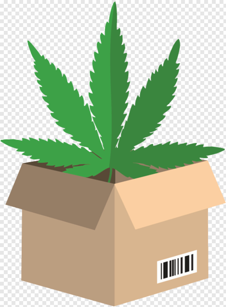 marijuana-leaf # 721916